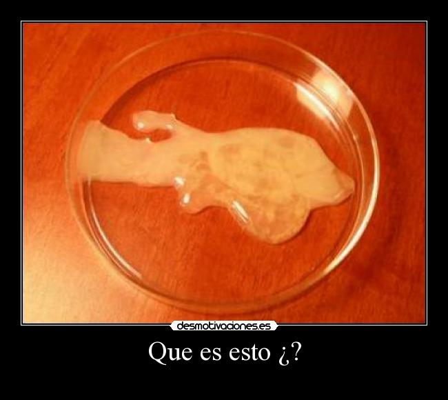 Que es esto ¿? -