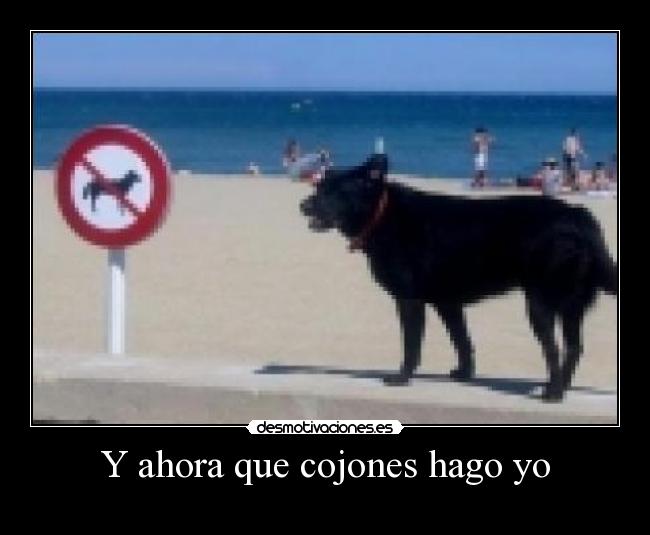 Y ahora que cojones hago yo -