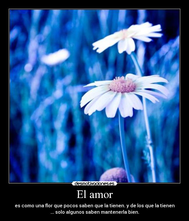 El amor - es como una flor que pocos saben que la tienen. y de los que la tienen
... solo algunos saben mantenerla bien.