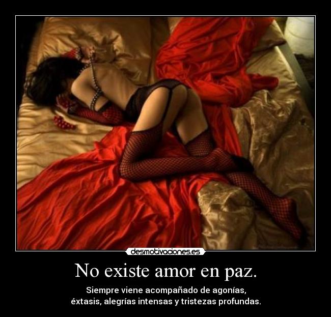 No existe amor en paz. - 