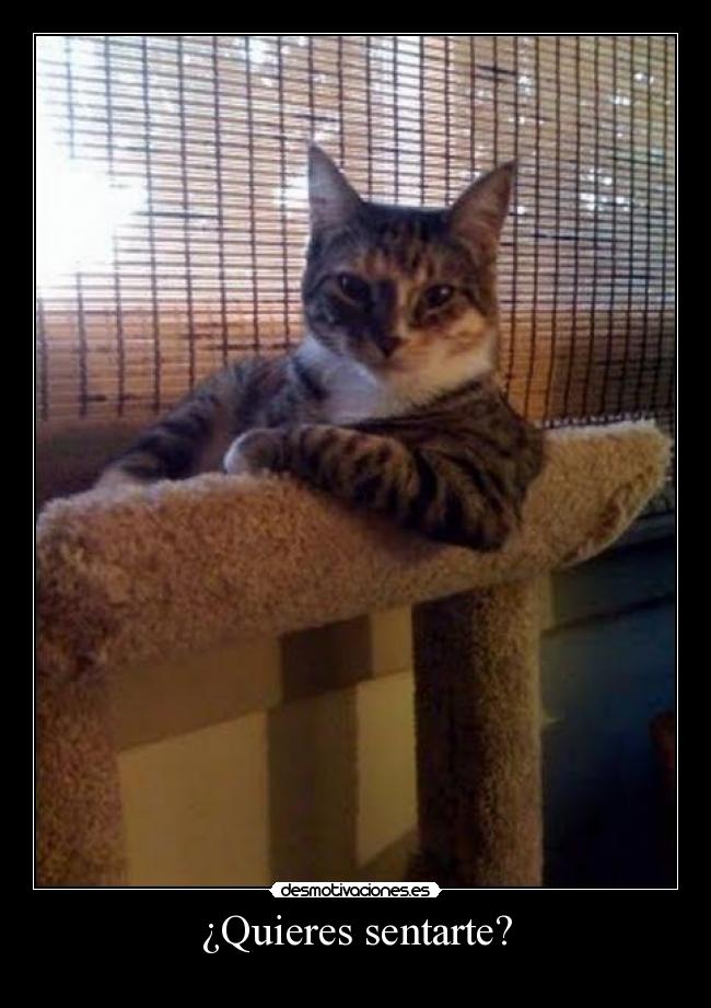 ¿Quieres sentarte? -