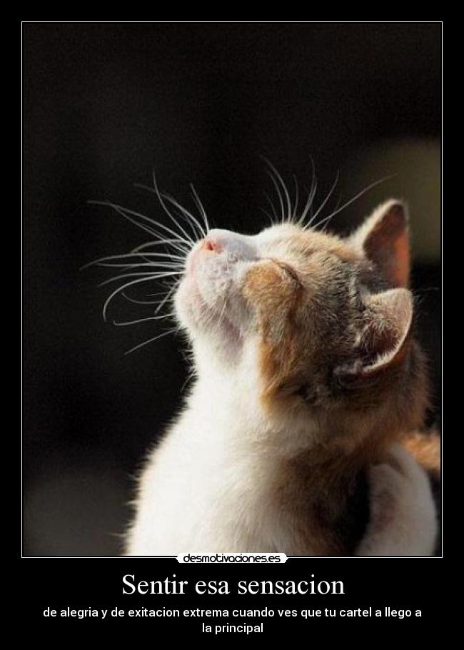 Sentir esa sensacion - de alegria y de exitacion extrema cuando ves que tu cartel a llego a la principal