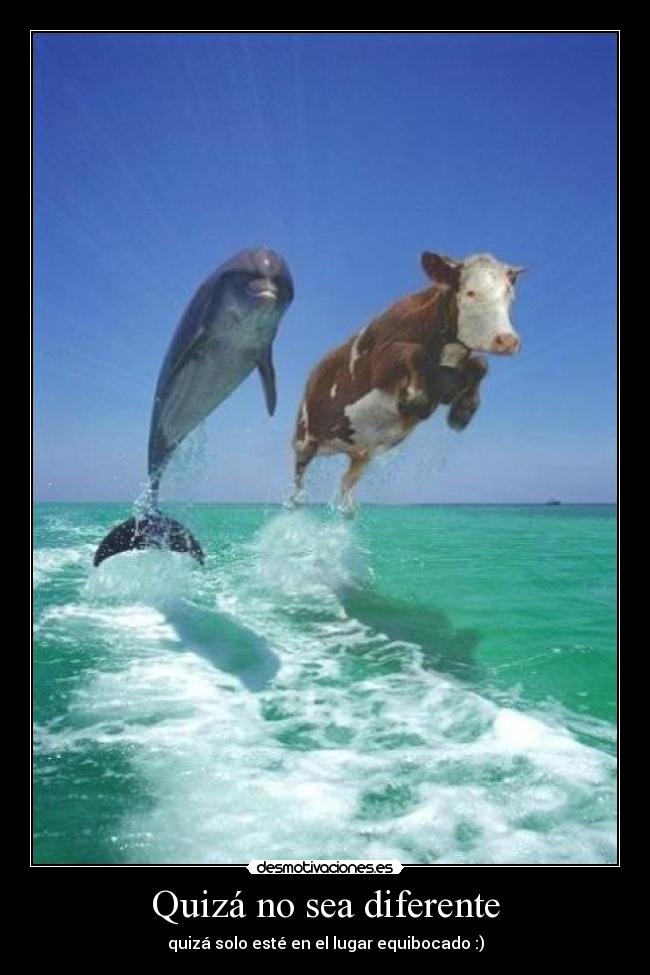 Quizá no sea diferente - 