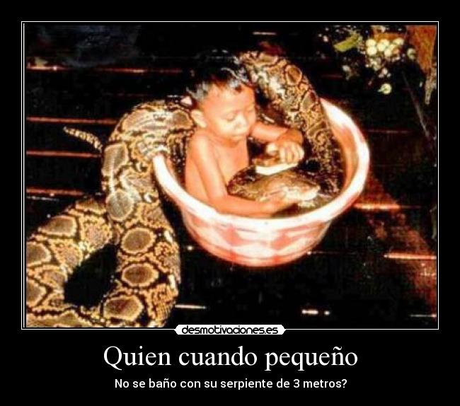 Quien cuando pequeño - No se baño con su serpiente de 3 metros?