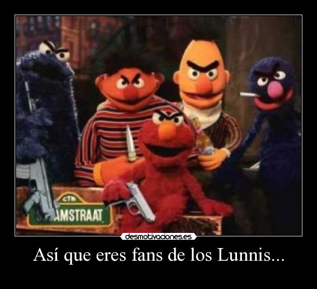 Así que eres fans de los Lunnis... - 