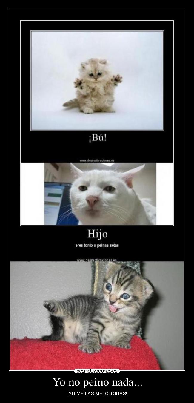 Yo no peino nada... - 