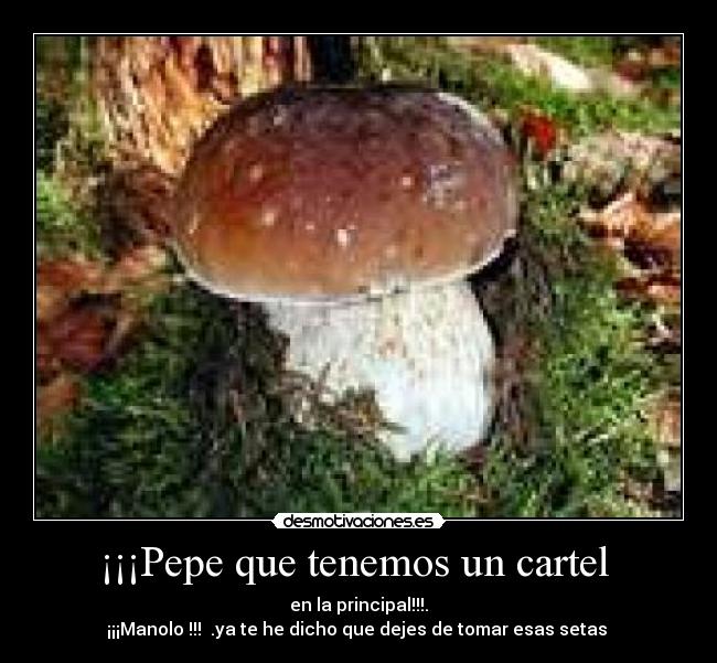 ¡¡¡Pepe que tenemos un cartel - en la principal!!!.
¡¡¡Manolo !!! .ya te he dicho que dejes de tomar esas setas