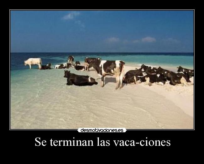 carteles vale horrible pero peores princis visto ousix desmotivaciones