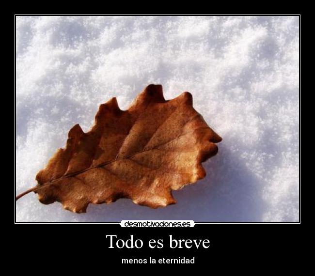 Todo es breve - 