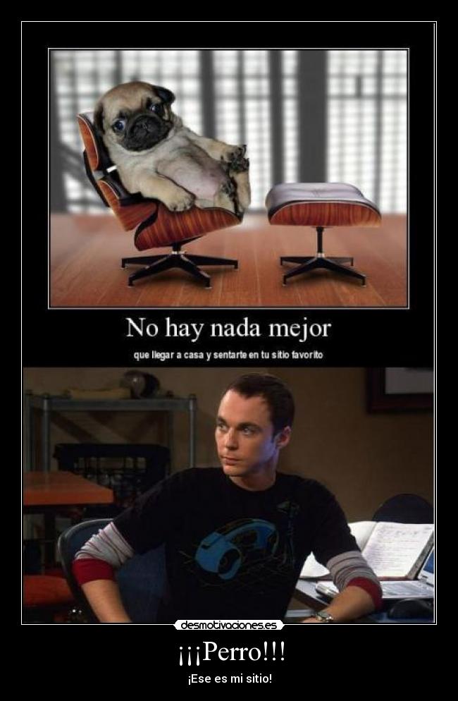 carteles sheldon sitio desmotivaciones