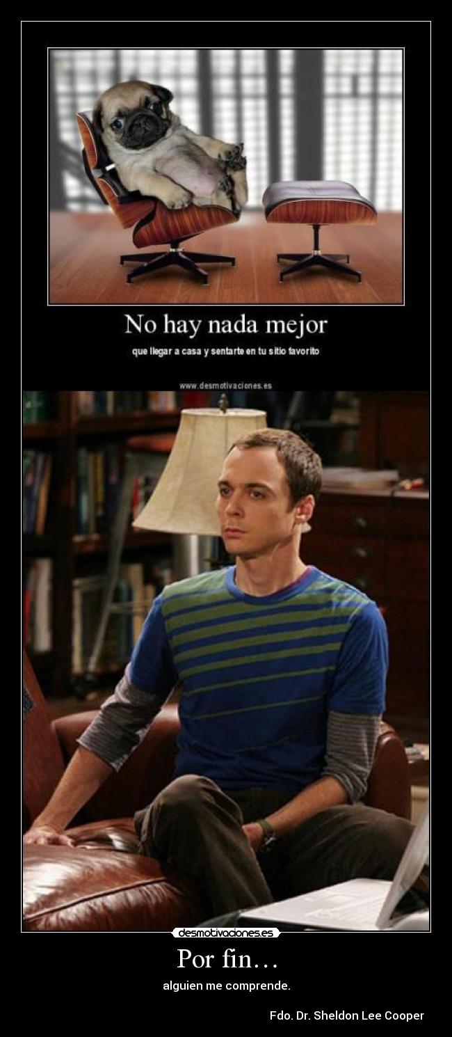 Por fin… - alguien me comprende.
Fdo. Dr. Sheldon Lee Cooper