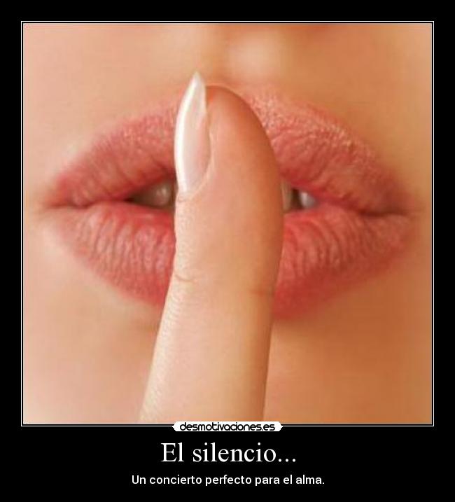 El silencio... - Un concierto perfecto para el alma.