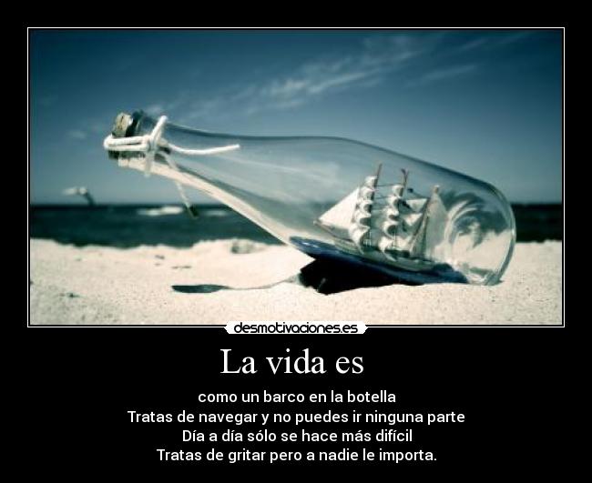 La vida es -