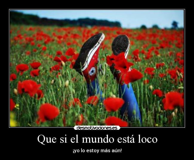 Que si el mundo está loco -