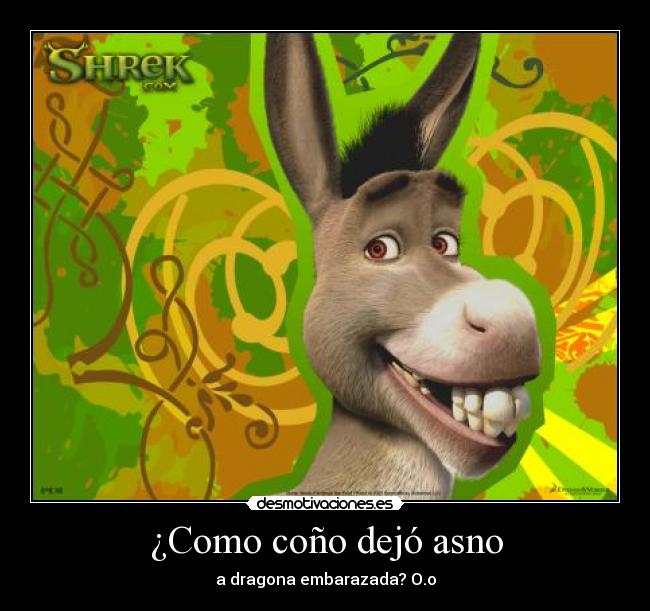 ¿Como coño dejó asno -
