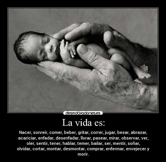 La vida es: - Nacer, sonreir, comer, beber, gritar, correr, jugar, besar, abrazar,
acariciar, enfadar, desenfadar, llorar, pasear, mirar, observar, ver,
oler, sentir, tener, hablar, temer, bailar, ser, mentir, soñar,
olvidar, cortar, montar, desmontar, comprar, enfermar, envejecer y
morir.