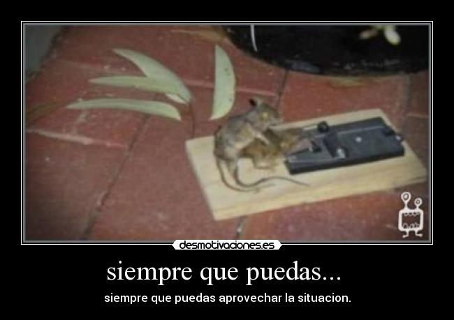 siempre que puedas...  - 