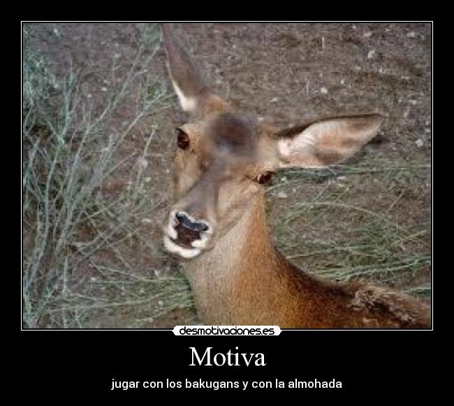 carteles jew jew jew desmotivaciones