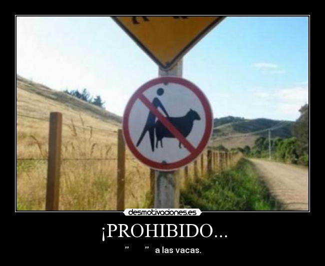 ¡PROHIBIDO... -            a las vacas.