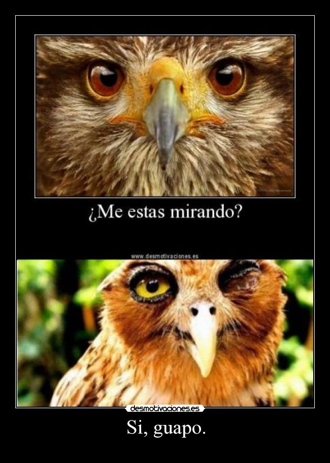 Si, guapo. -