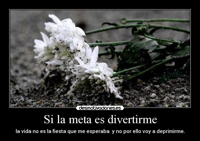 Si la meta es divertirme -