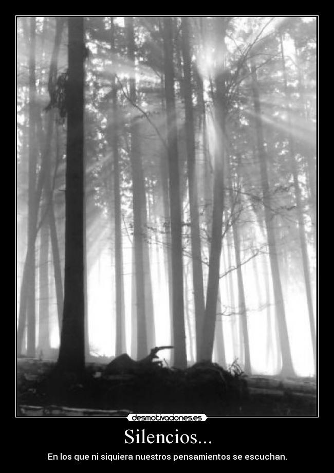 Silencios... -