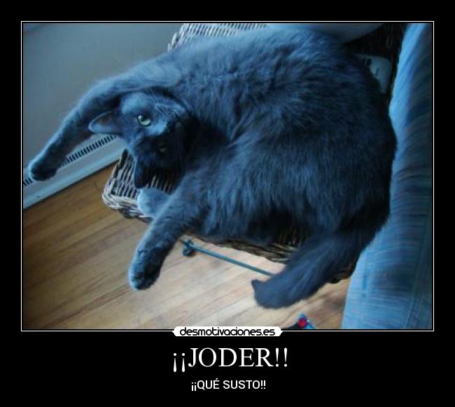 ¡¡JODER!! - 