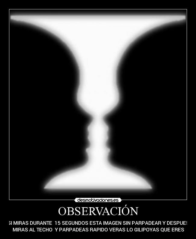 OBSERVACIÓN - 
