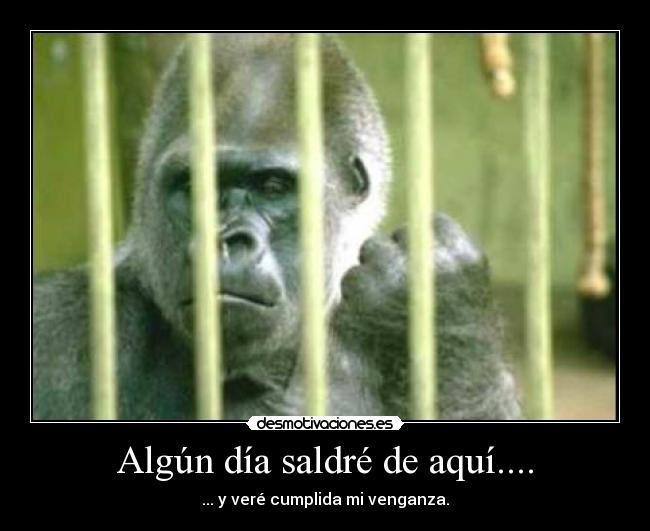 Algún día saldré de aquí.... - 