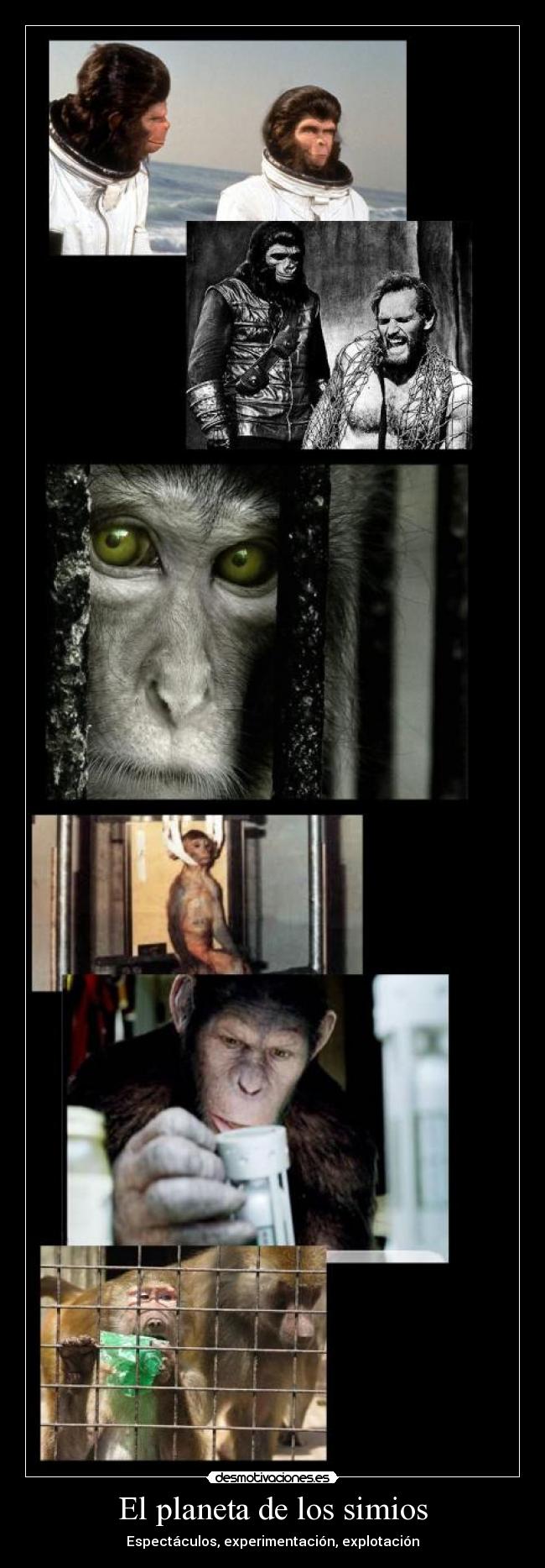 carteles ferminelfiero desmotivaciones