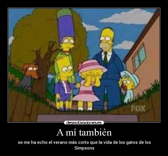 A mí también - se me ha echo el verano más corto que la vida de los gatos de los Simpsons