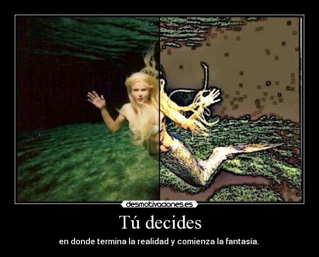 Tú decides -