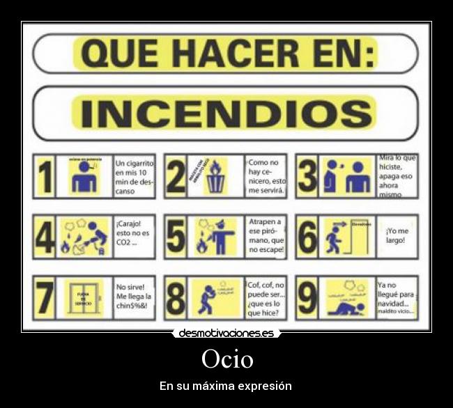 Ocio - En su máxima expresión 