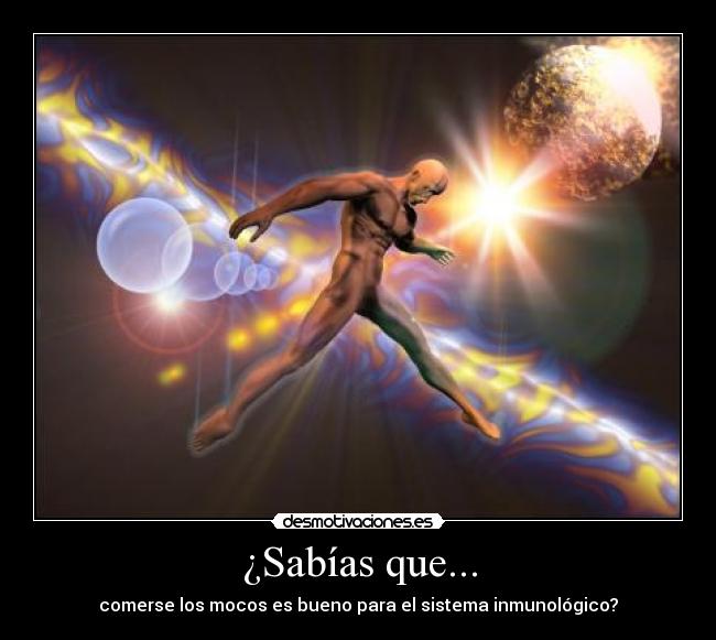 ¿Sabías que... - comerse los mocos es bueno para el sistema inmunológico?