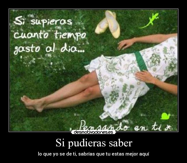 Si pudieras saber - lo que yo se de ti, sabrías que tu estas mejor aquí
