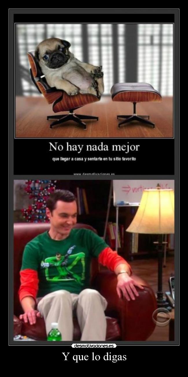 carteles sheldon sitio agusto desmotivaciones