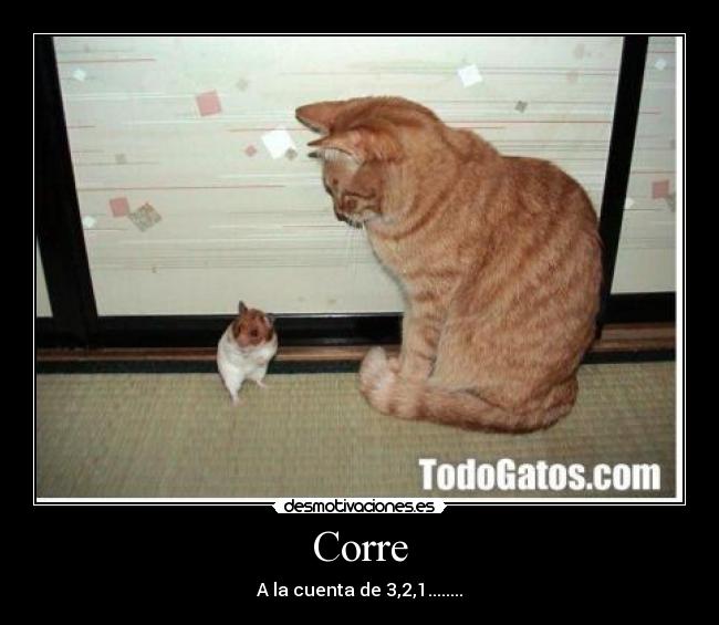 Corre - A la cuenta de 3,2,1........