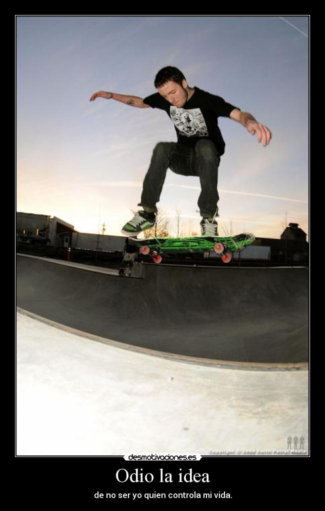carteles odio skater idea odio vida controla desmotivaciones
