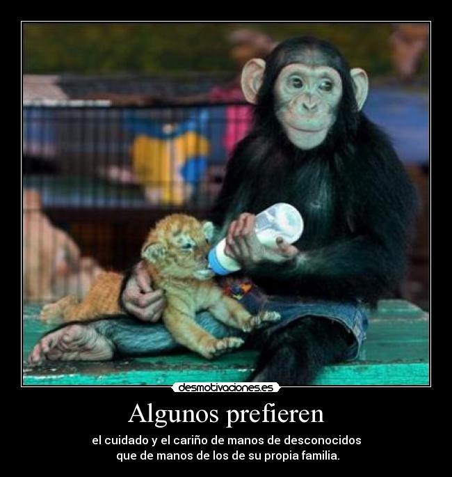 carteles daniattackdec12 desmotivaciones