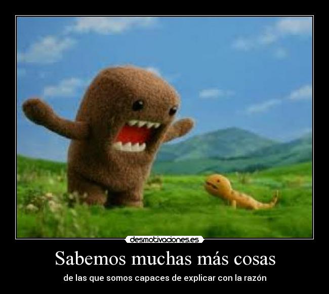 Sabemos muchas más cosas - de las que somos capaces de explicar con la razón