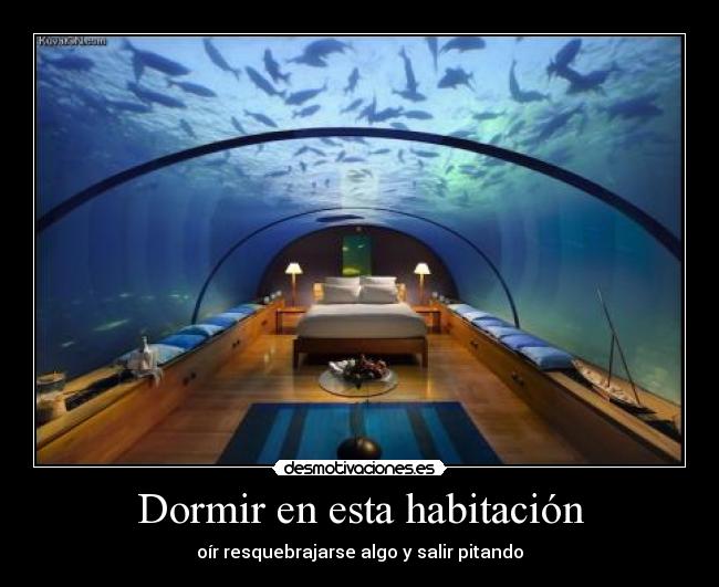 Dormir en esta habitación -