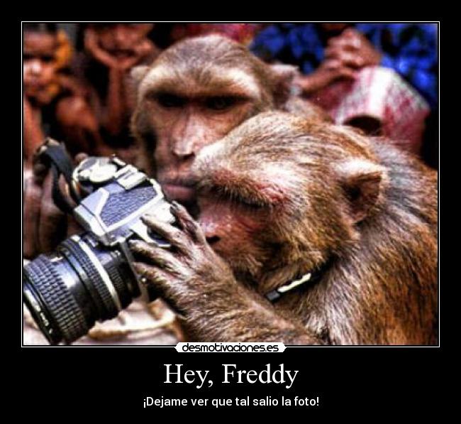 Hey, Freddy - ¡Dejame ver que tal salio la foto!