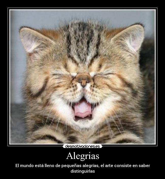 Alegrias - 