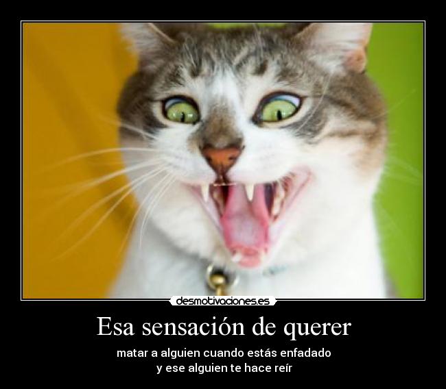 Esa sensación de querer - matar a alguien cuando estás enfadado
 y ese alguien te hace reír