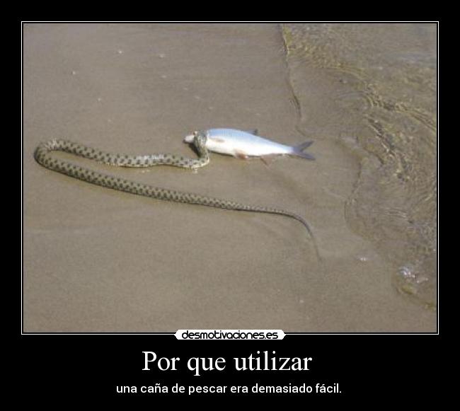 Por que utilizar - una caña de pescar era demasiado fácil.