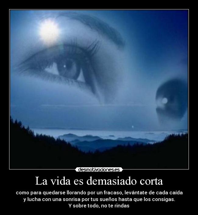 La vida es demasiado corta - como para quedarse llorando por un fracaso, levántate de cada caída
y lucha con una sonrisa por tus sueños hasta que los consigas.
Y sobre todo, no te rindas