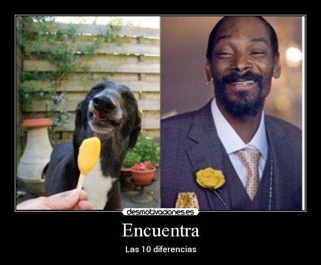 carteles snoop dog desmotivaciones