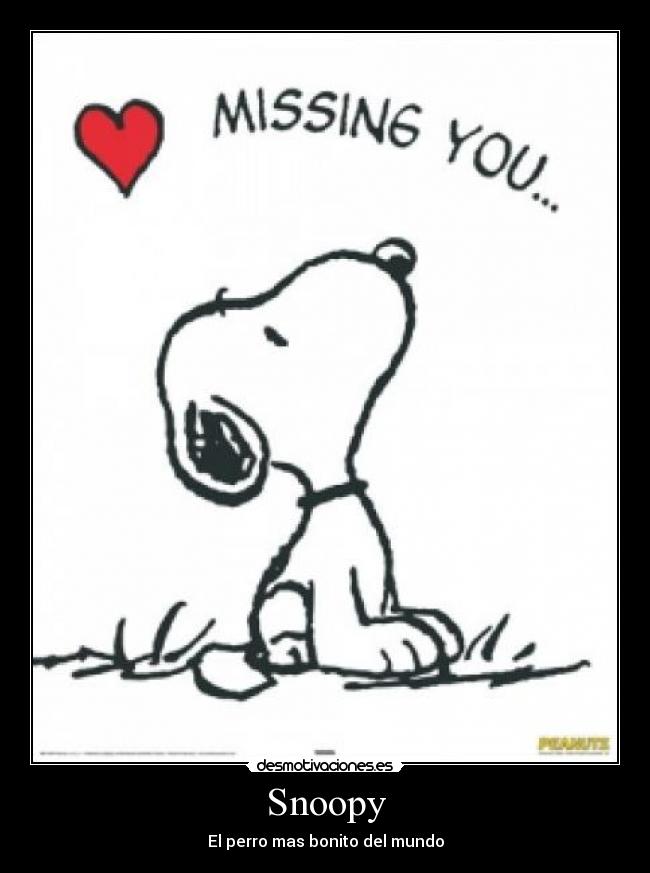 Snoopy - 