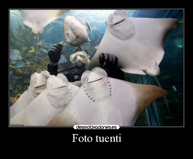 carteles tuenti foto tuenti desmotivaciones