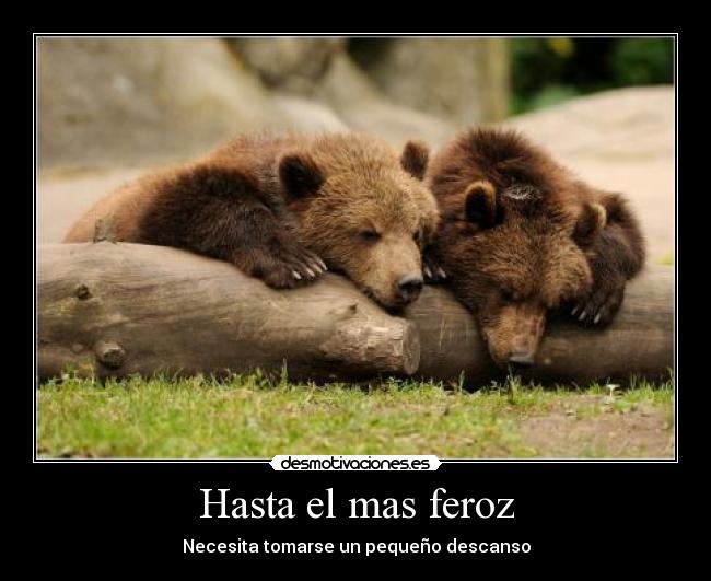 carteles hasta mas feroz necesita tomarse pequeno descanso desmotivaciones